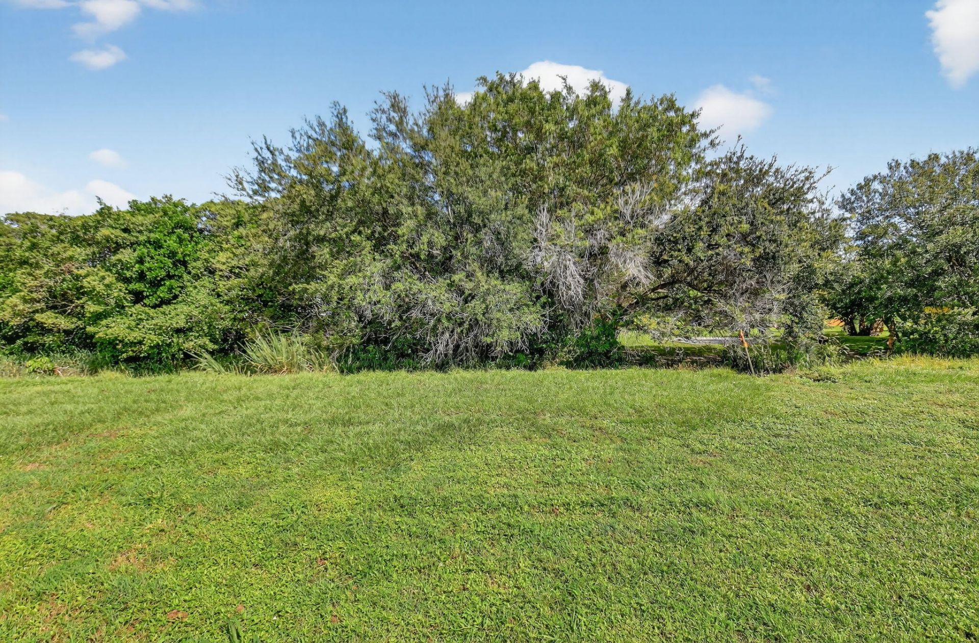 4101 NW 2nd Lane, Delray Beach, FL 33445 Photo