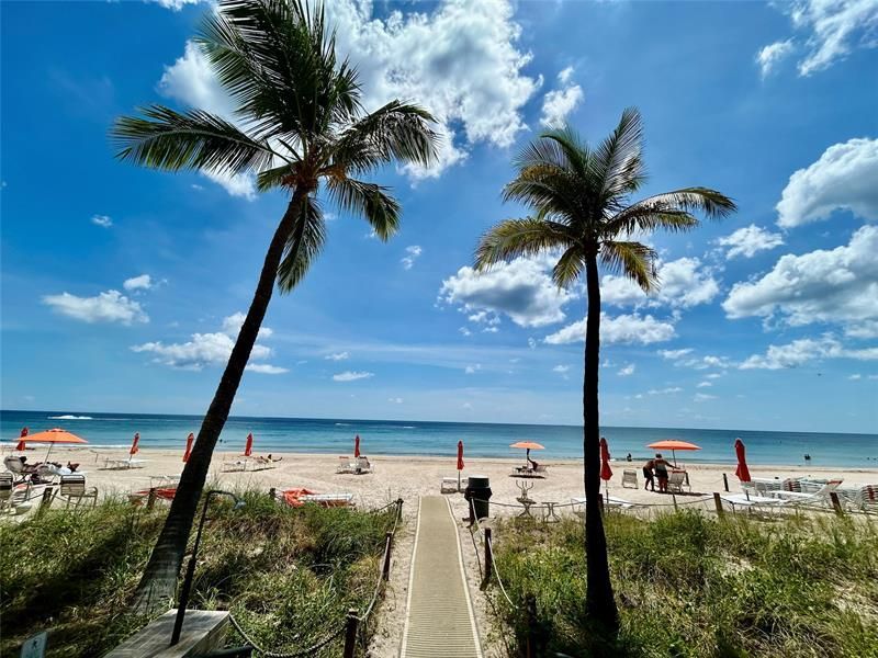 3800 Galt Ocean Drive, Unit 803, Fort Lauderdale, FL 33308 Photo