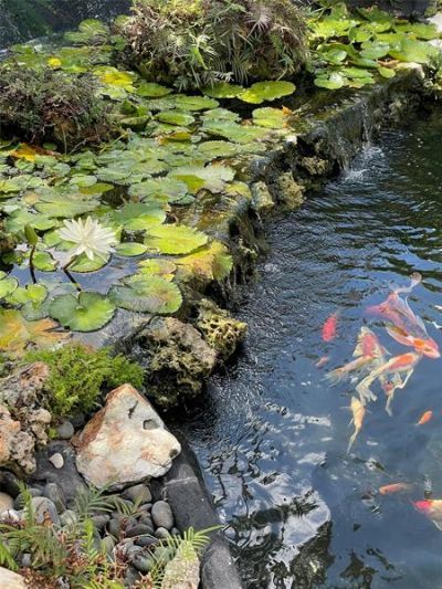 2900 NE 14th Street Causeway, Unit 514, Pompano Beach, FL 33062 Photo