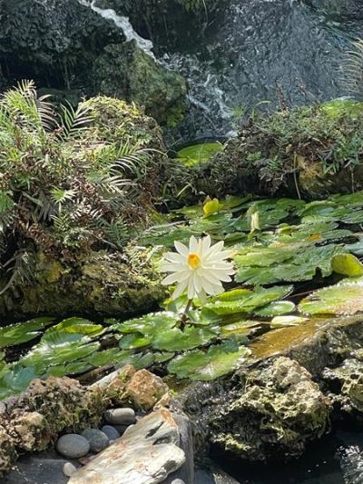 2900 NE 14th Street Causeway, Unit 514, Pompano Beach, FL 33062 Photo