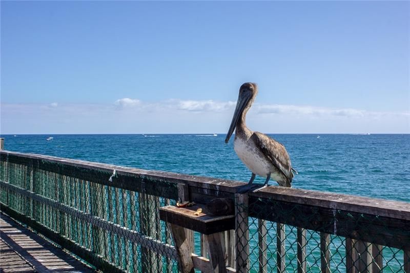 2900 NE 14th Street Causeway, Unit 514, Pompano Beach, FL 33062 Photo