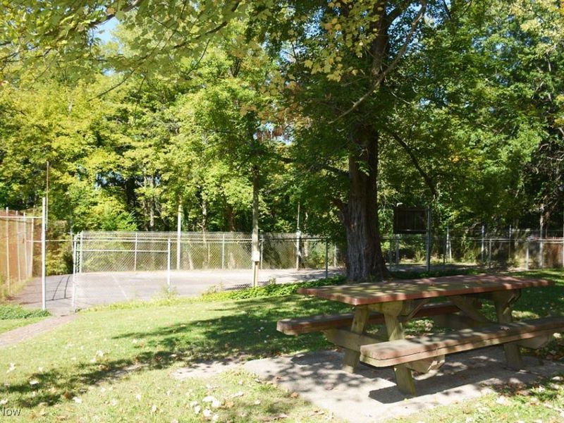 13170 Caves Road, Chesterland, OH 44026 Photo 30