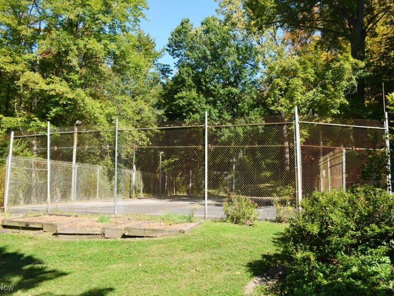 13170 Caves Road, Chesterland, OH 44026 Photo 32