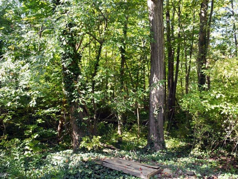 13170 Caves Road, Chesterland, OH 44026 Photo 39