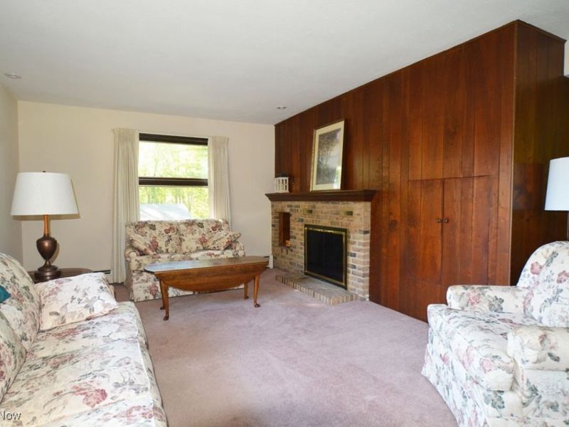 13170 Caves Road, Chesterland, OH 44026 Photo 7