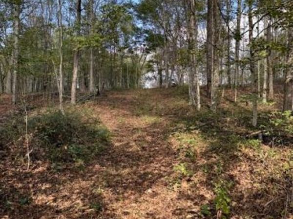 0 Red Rock Road, Glouster, OH 45732