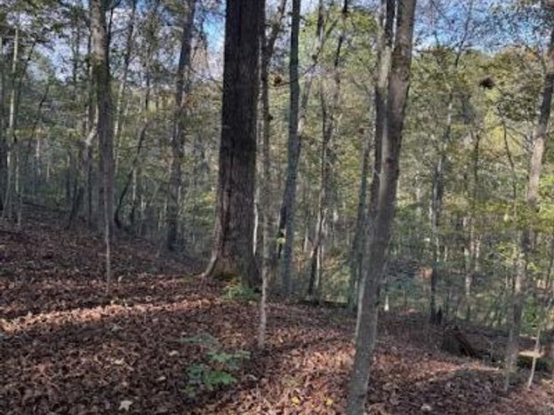 0 Red Rock Road, Glouster, OH 45732 Photo 10