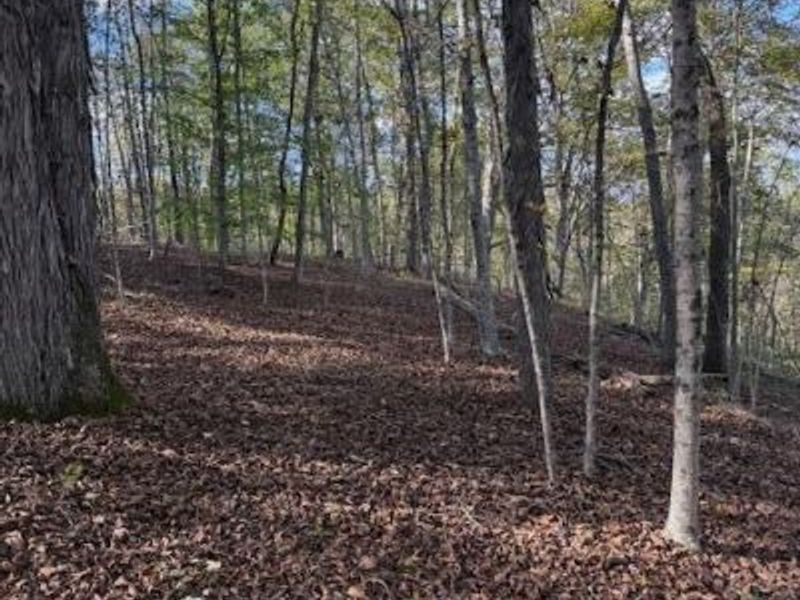 0 Red Rock Road, Glouster, OH 45732 Photo 12