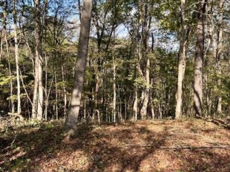 0 Red Rock Road, Glouster, OH 45732 Photo 4