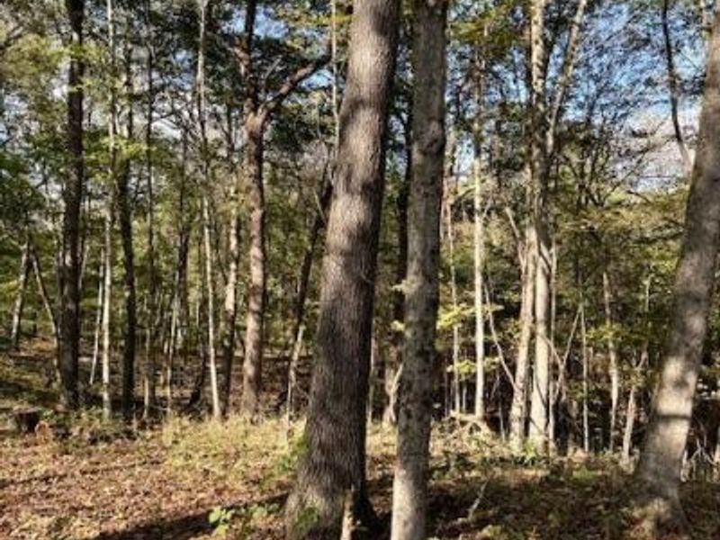 0 Red Rock Road, Glouster, OH 45732 Photo 5