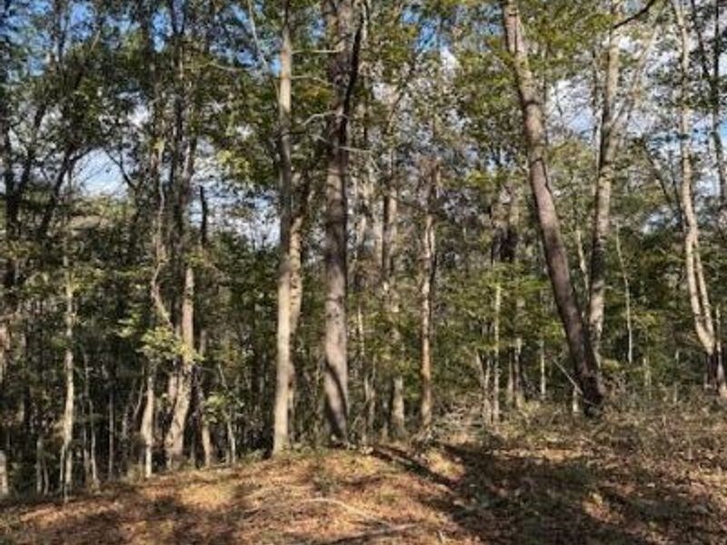 0 Red Rock Road, Glouster, OH 45732 Photo 6