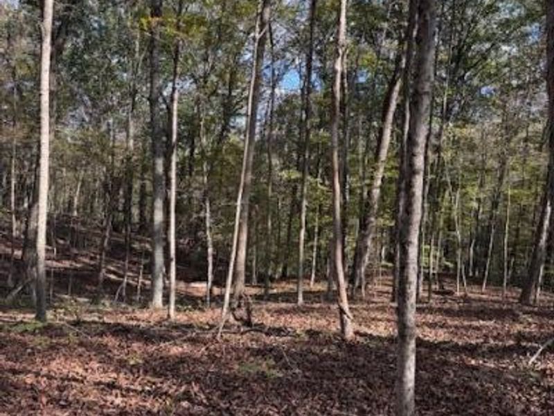 0 Red Rock Road, Glouster, OH 45732 Photo 7