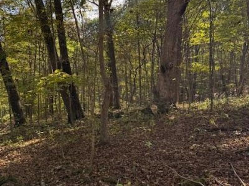 0 Red Rock Road, Glouster, OH 45732 Photo 8