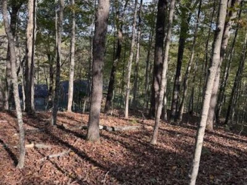 0 Red Rock Road, Glouster, OH 45732 Photo 9