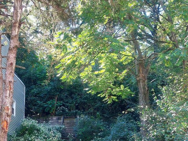 507 Tafel Street, Cincinnati, OH 45225