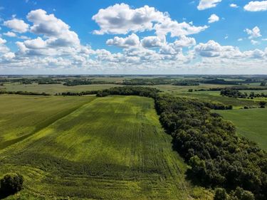 TBD 260th Street W, Morristown, MN 55052