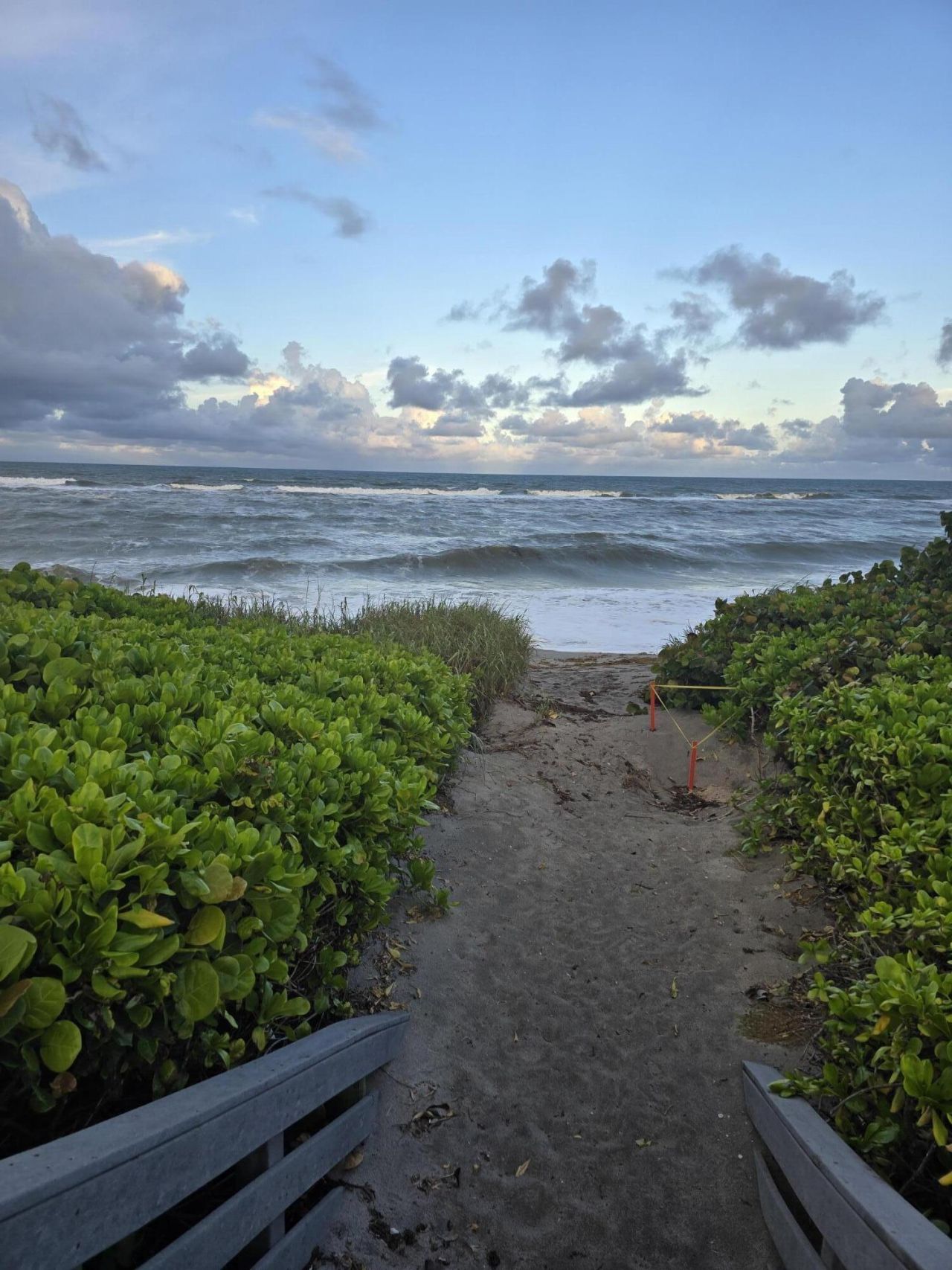 420 Celestial Way, Unit 204, Juno Beach, FL 33408 Photo