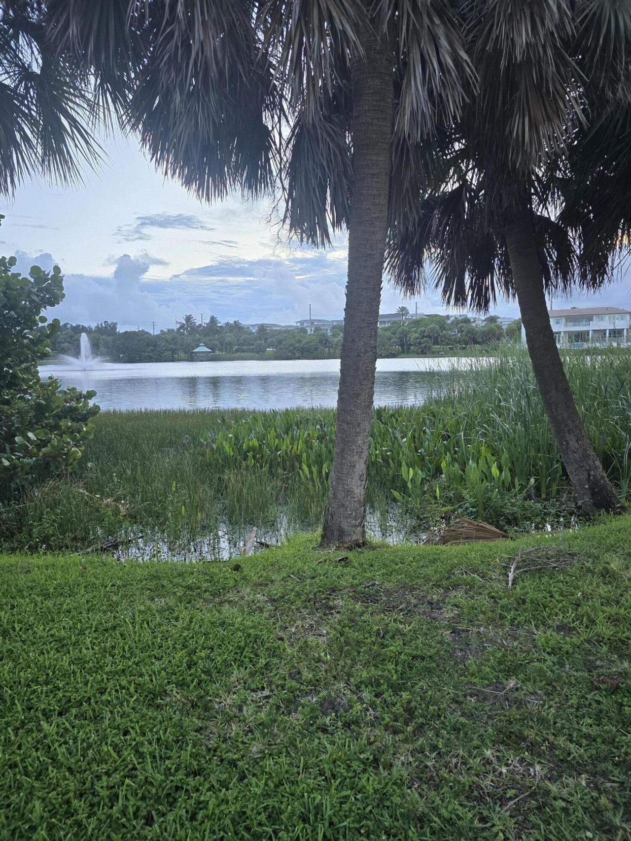 420 Celestial Way, Unit 204, Juno Beach, FL 33408 Photo