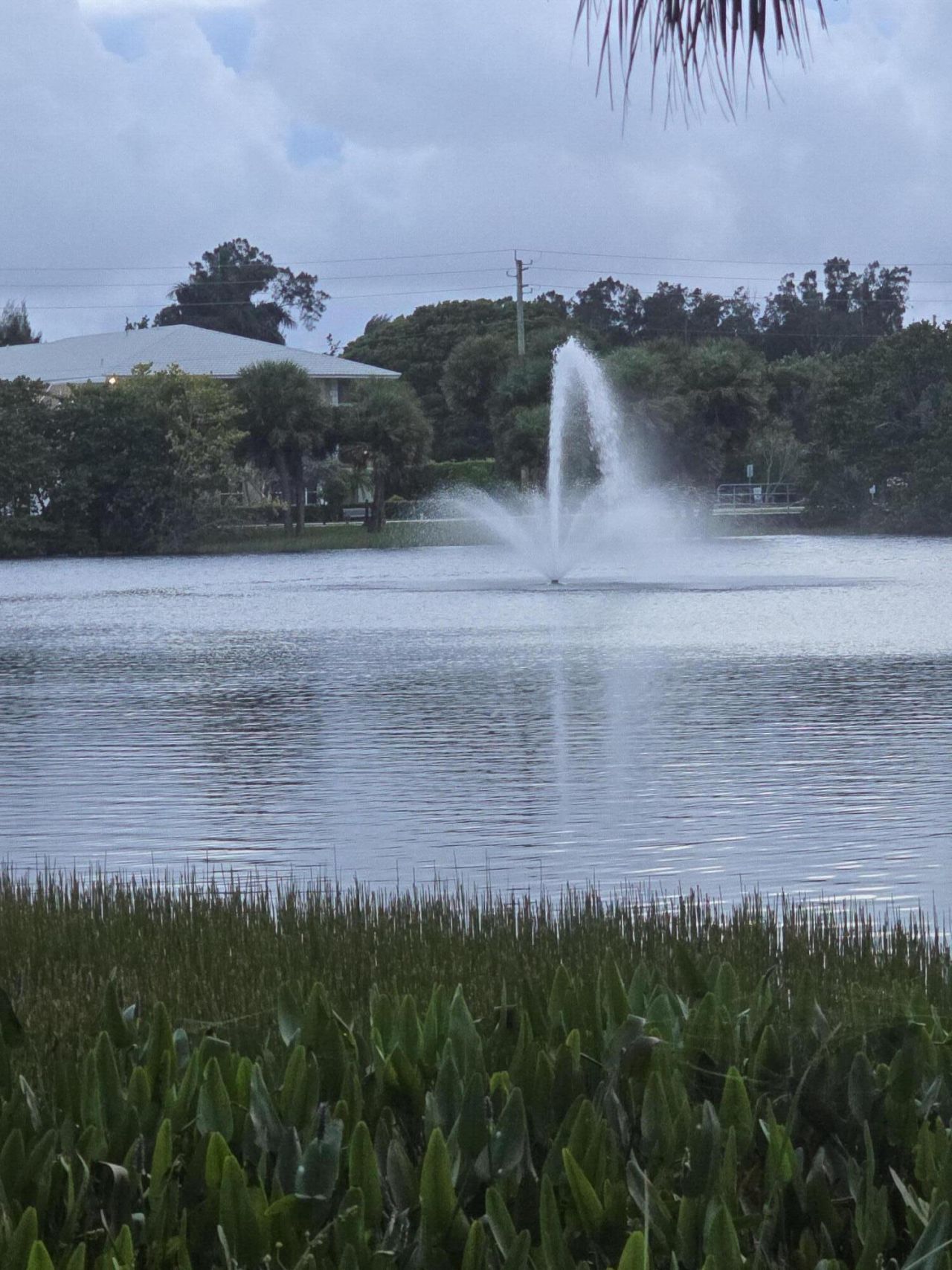 420 Celestial Way, Unit 204, Juno Beach, FL 33408 Photo