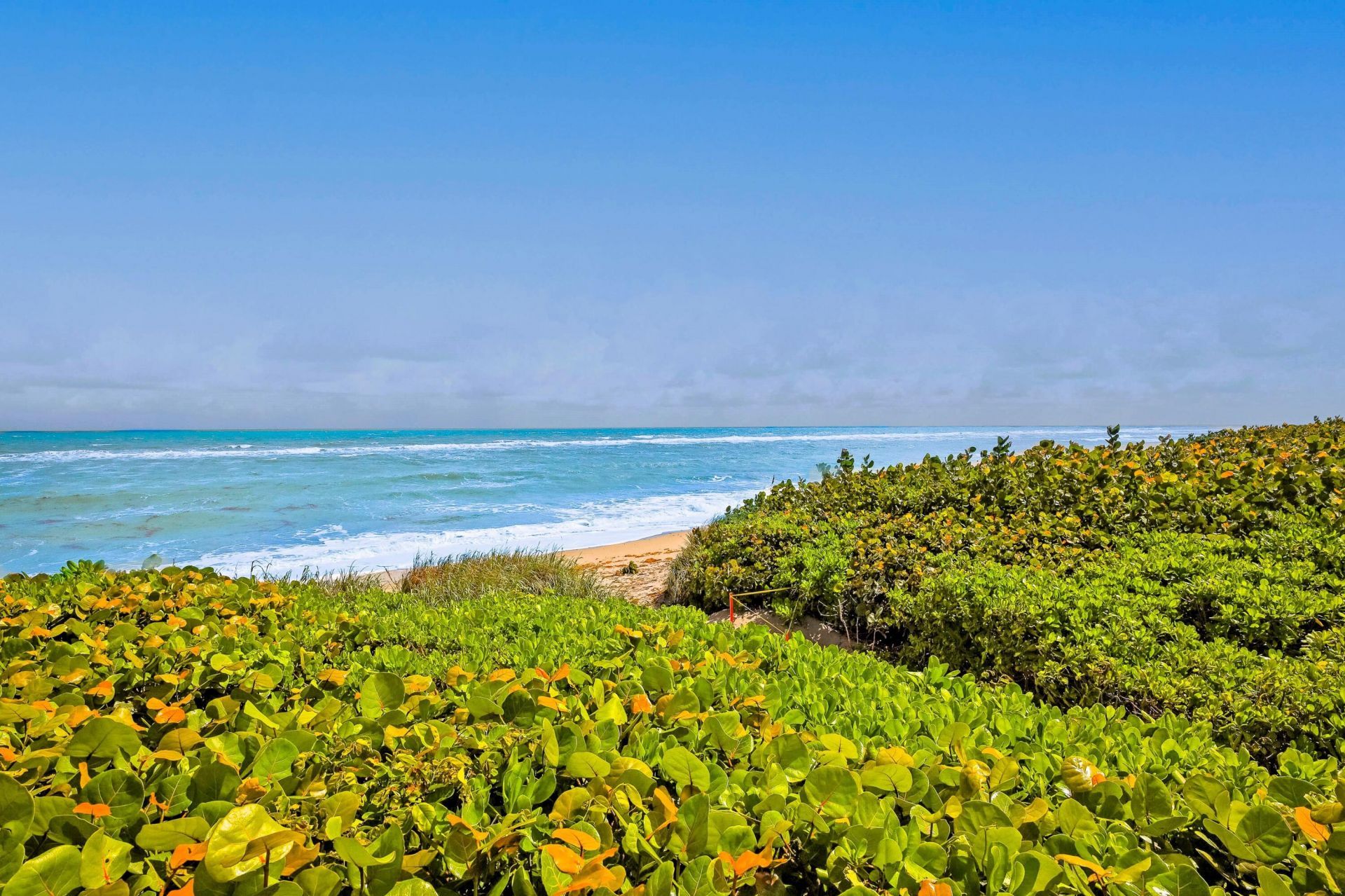 420 Celestial Way, Unit 204, Juno Beach, FL 33408 Photo