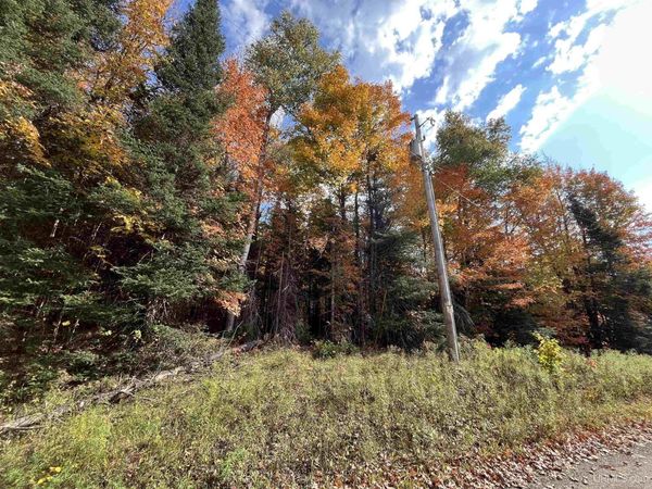 LOTS 59, 60, 61 Maple Drive, Spurr Twp, MI 49814