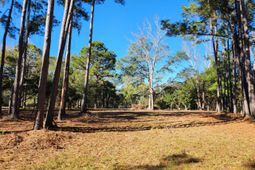 7997 Doar Road photo 4