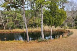 7997 Doar Road photo 4