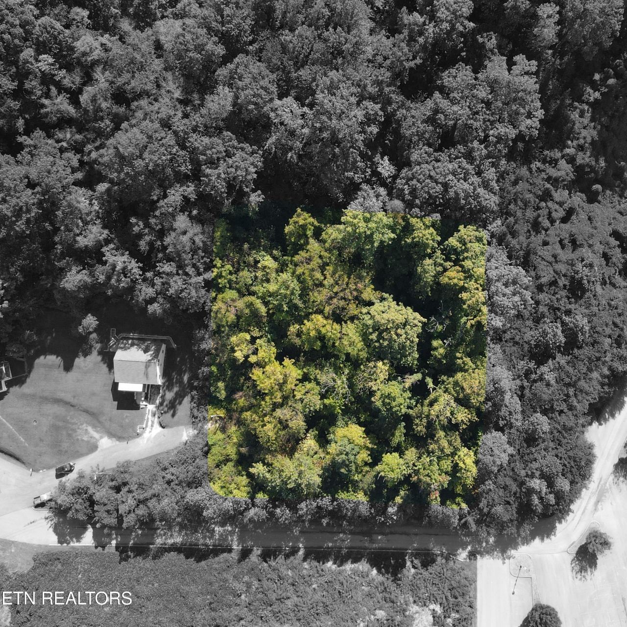 Richmond Ave, Knoxville, TN 37921 Main Photo