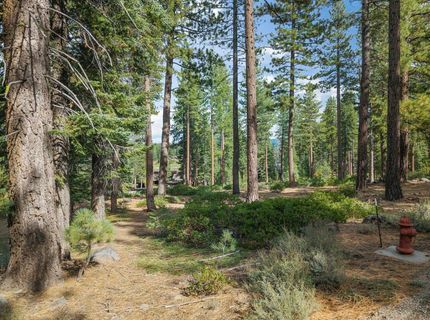 11317 Elle Ellen, Truckee, CA 96161 Photo