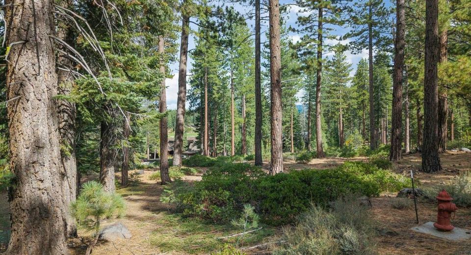 11317 Elle Ellen, Truckee, CA 96161 Photo