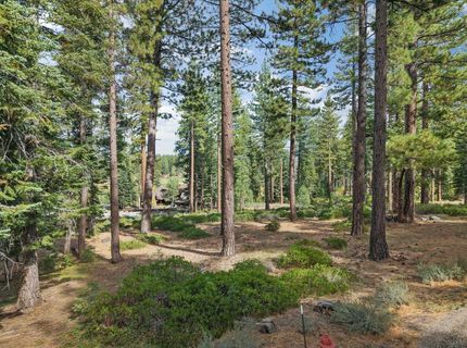 11317 Elle Ellen, Truckee, CA 96161 Photo