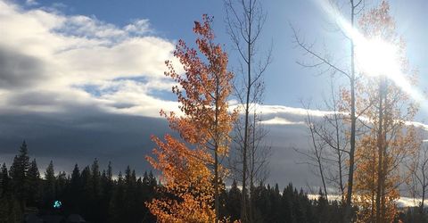 11317 Elle Ellen, Truckee, CA 96161 Photo