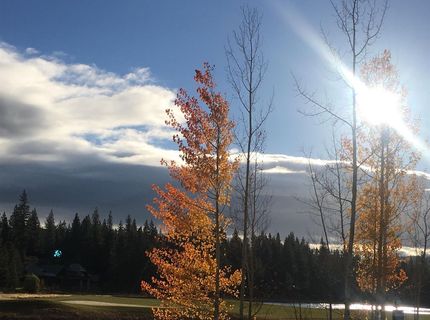 11317 Elle Ellen, Truckee, CA 96161 Photo