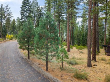 11317 Elle Ellen, Truckee, CA 96161 Photo