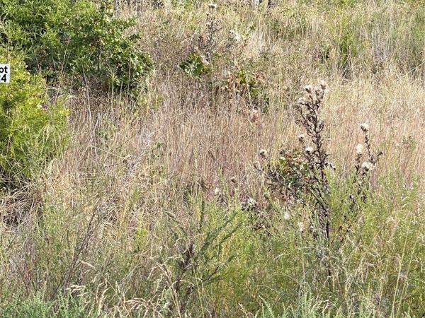 2608 S McKenzie , Agra, OK 74824