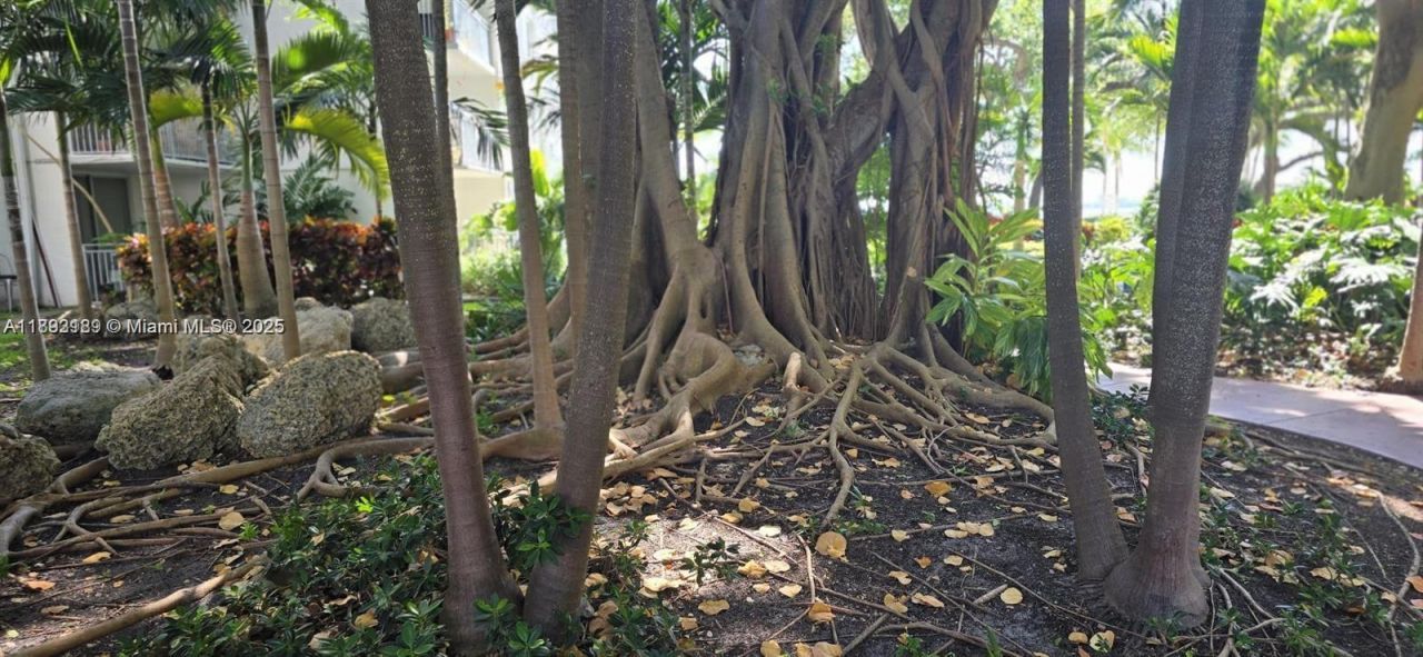 650 NE 64, Unit G608, Miami, FL 33138 Photo