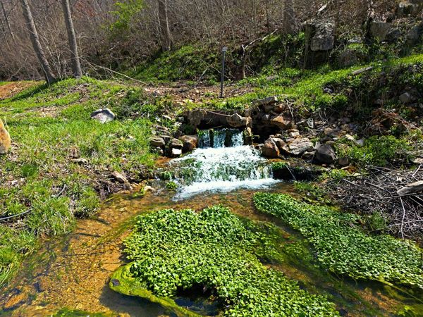 25598 C-228 Tract 1, Norwood, MO 65717