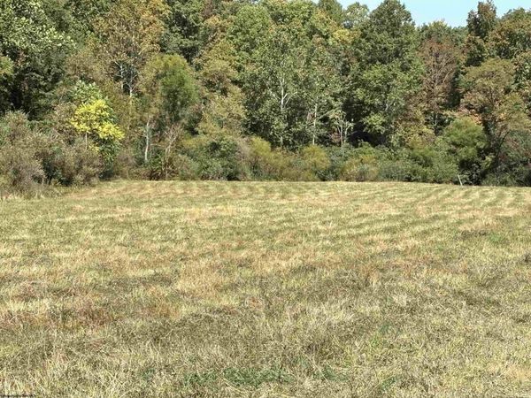 00 W Junior Road, Junior, WV 26275