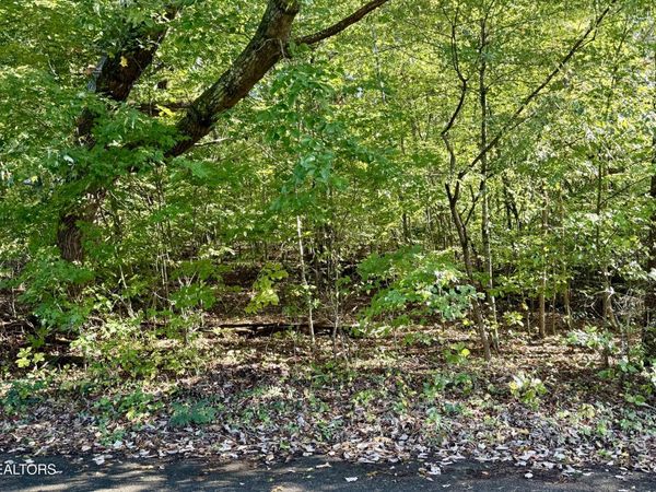 Reagan St, Harrogate, TN 37752