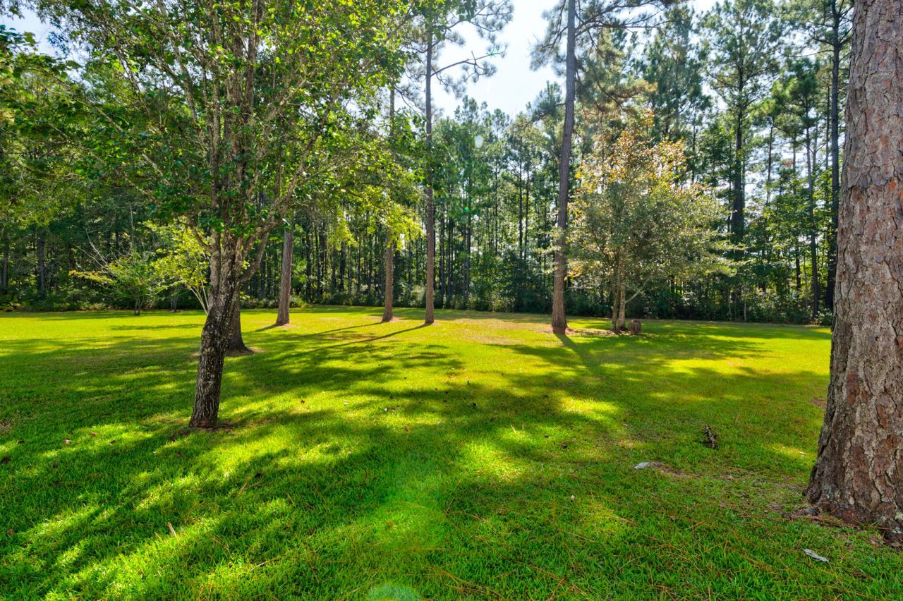 751 Deerhaven Court Photo 21