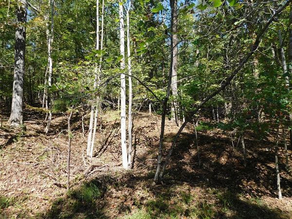 Lot 24 Cedar Bluff LN, Hardy, VA 24101
