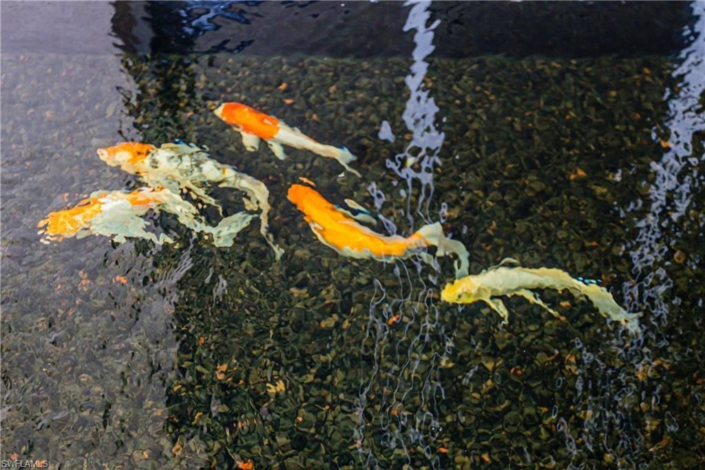 4457 Club Estates Dr, Naples, FL 34112 Photo