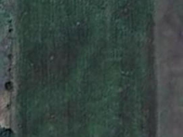 1035 Holder Road , Forreston, TX 76041