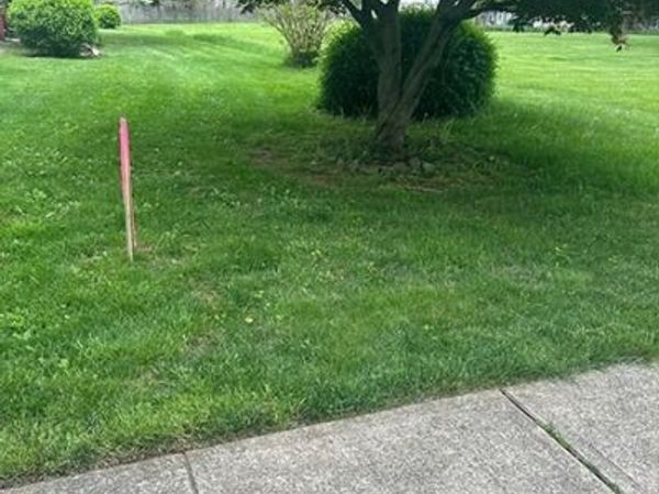 223 W Randolph Ave, Mine Hill, NJ 07803