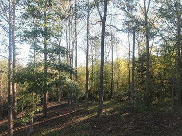 TBD BATESVILLE RD, Unit 2, AFTON, VA 22920