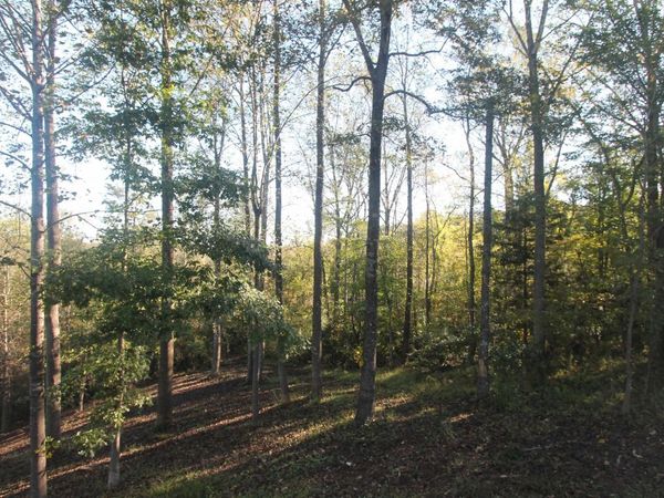 TBD BATESVILLE RD, Unit 2, AFTON, VA 22920