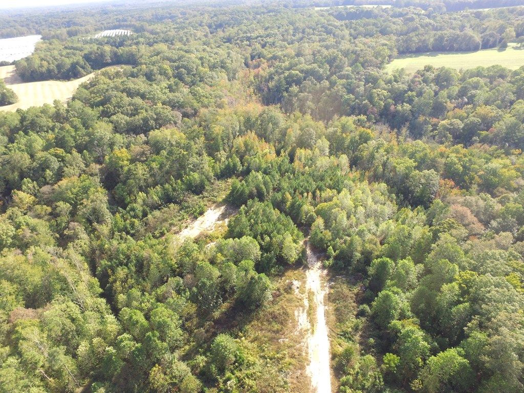 55-98 Kings Mill Road, Kinsale, VA 22488 Main Photo