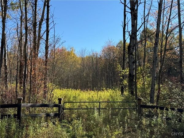 Shoemaker Road, Van Etten, NY 14889