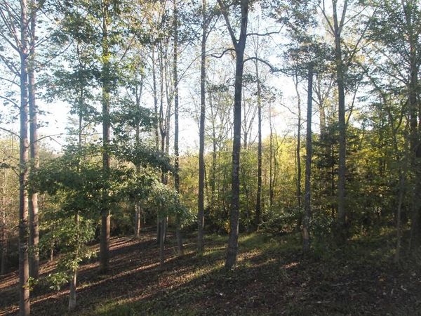 TBD BATESVILLE RD, Unit 2, AFTON, VA 22920