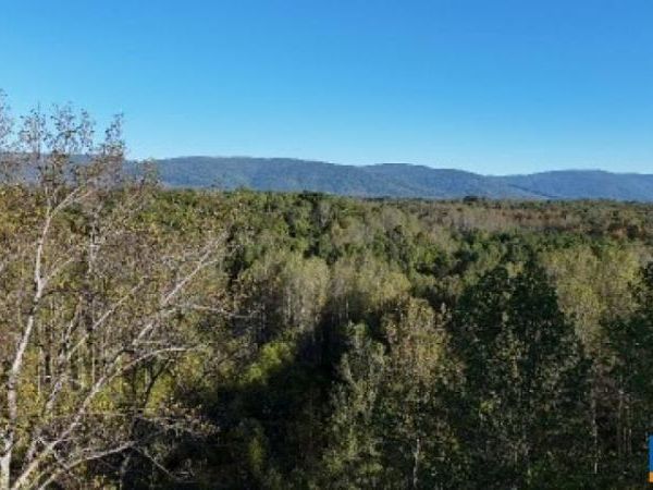 TBD BATESVILLE RD, Unit 2, AFTON, VA 22920